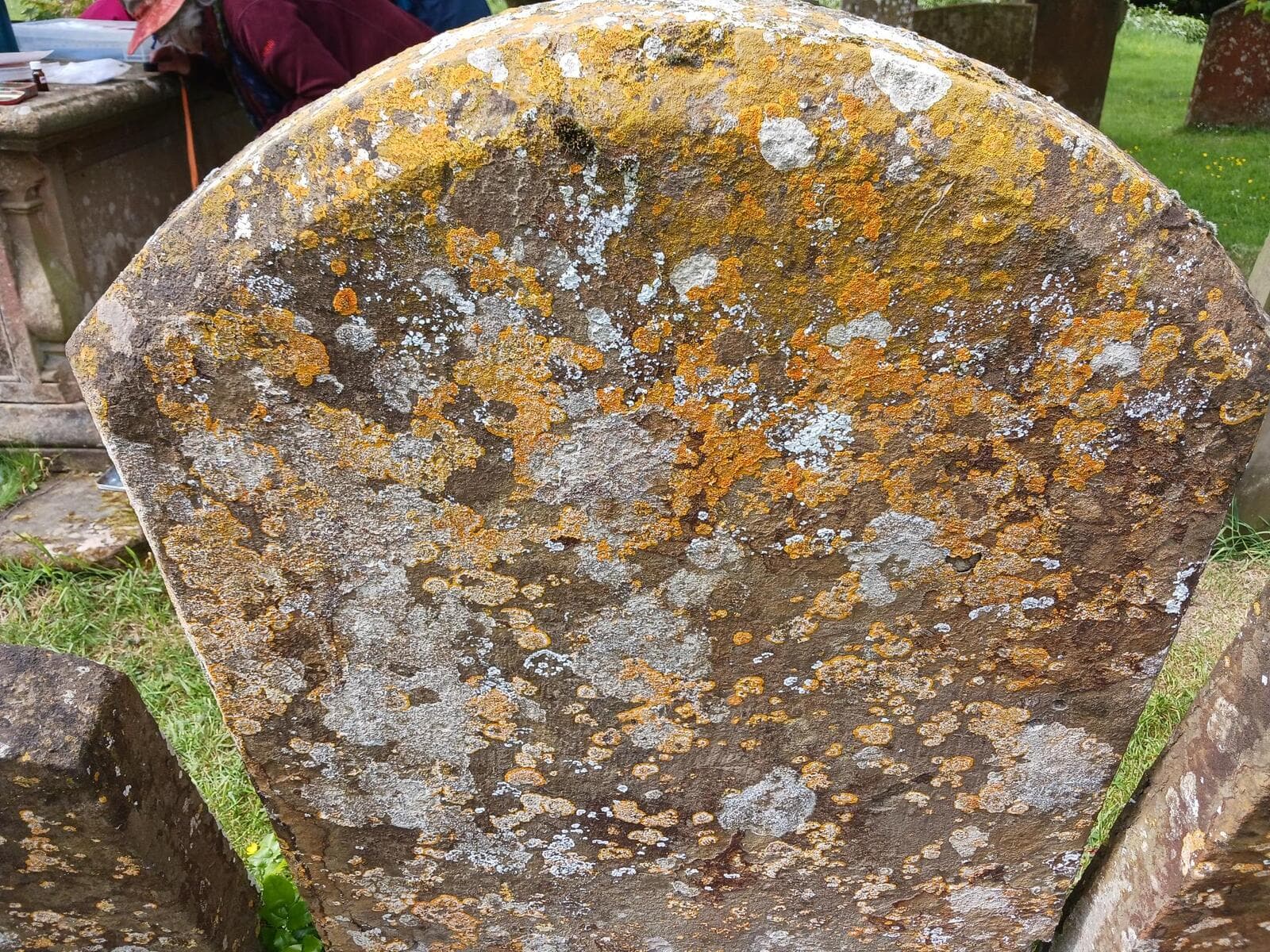 Orange and grey lichens covering the face of an old gravestone